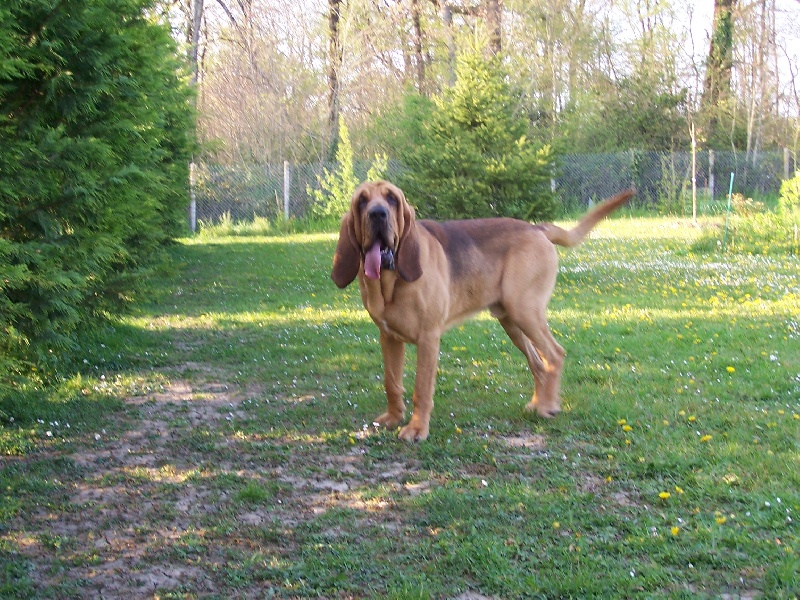 Balthazar de la voix de saint lact