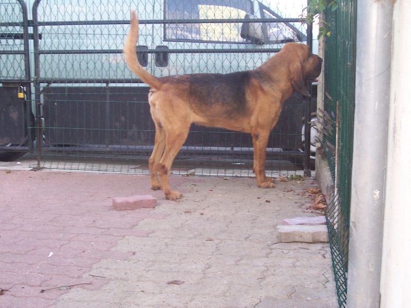 Byron de la voix de saint lact